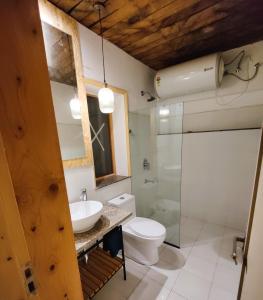 uma casa de banho com um WC, um lavatório e um chuveiro em Khanda Kothi em Srinagar