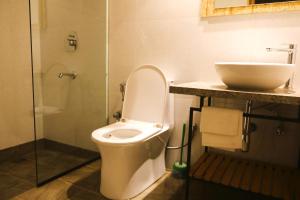 a bathroom with a toilet and a sink at Khanda Kothi in Srinagar
