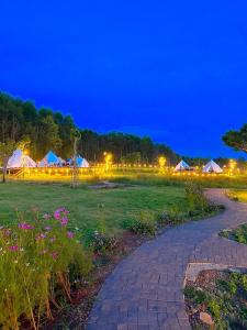 a group of tents in a field at night at TODO Farm - Organic Farming & Retreat in Phu Yen