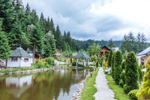 un fiume in un villaggio con case e alberi di Шале "Ведмежий Двір" a Palyanytsya