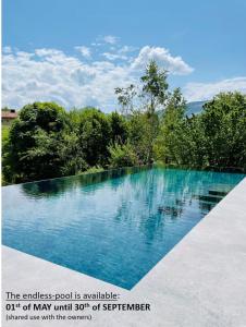 a swimming pool with blue water and trees in the background at place2be - exclusive apartment in Faistenau