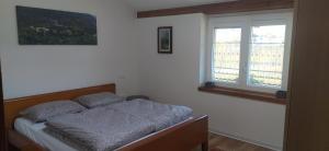 a bedroom with a bed and a window at Nonna Evy in Pergine Valsugana