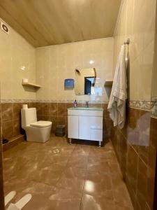 een badkamer met een toilet, een wastafel en een spiegel bij Museum Hostel in Tbilisi City