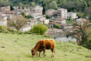 a brown cow grazing on a grassy hill with a city at Casa Montero in Viniegra de Abajo
