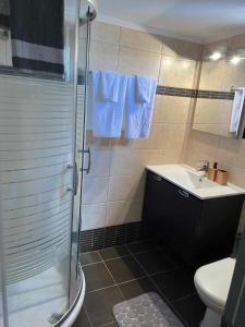 a bathroom with a shower and a sink and a toilet at MANOLIS COTTAGE THANOS in Thános