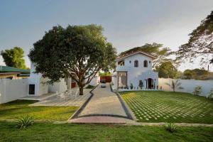 Κήπος έξω από το Mija Casita +22 φωτογραφίες
