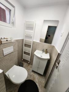 y baño con aseo, lavabo y espejo. en Smile apartments en Sighişoara