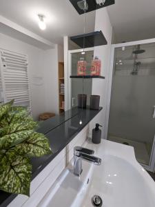 W łazience znajduje się umywalka i lustro. w obiekcie Gîte Reflets de Montagnes w mieście Tarascon-sur-Ariège