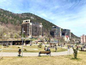 a park with people sitting on a bench and buildings at Nature View Family Apartment in Braşov