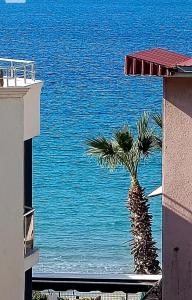 una palmera en medio del océano en Erciyes Hotel, en Kusadasi