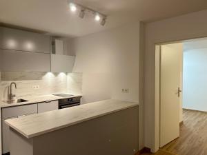 SPEYERBACH - modernes Apartment nahe Neustadter Innenstadt tesisinde mutfak veya mini mutfak