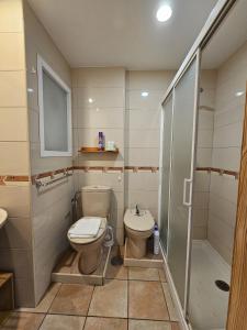 Kúpeľňa v ubytovaní Apartamento Edificio Ilice -9