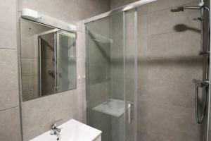 uma casa de banho com um chuveiro, um lavatório e um espelho. em Inviting 2-Bed Apartment in Dublin em Dublin