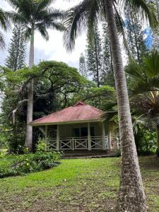 a house with a palm tree in front of it at Bungalow Sarraméa in Sarraméa