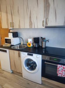 a kitchen with a washing machine and a sink at Apartamentos Sierra y Mar Aldealengua de Pedraza in Ceguilla