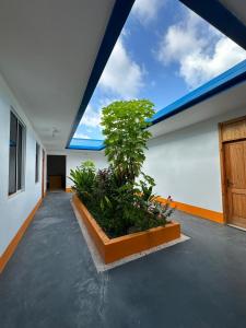 Fotografie z fotogalerie ubytování The Happiness Sun Suites v destinaci Fodhdhoo