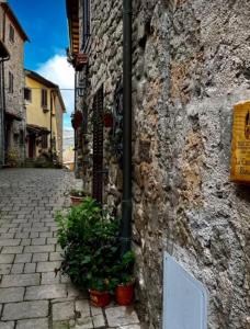 a stone building with potted plants on a street at CASTAGNA BIANCA - Tuscan ToBe srl in Santa Fiora