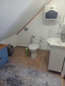 La salle de bains est pourvue de toilettes et d'un lavabo. dans l'établissement CABANA NICU&DORi, à Sibiu