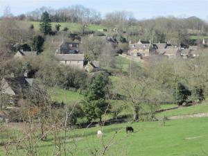 um grupo de animais que pastam num campo verde em Green Valley, Cotswold stay with hamper em Cheltenham