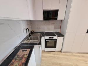a small kitchen with a sink and a stove at Tirana Center Apartaments in Tirana