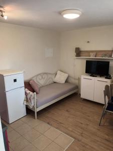 Телевизор и/или развлекательный центр в Apartment Maro