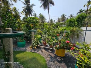 a garden with potted plants and a sink at SAM'S HOME STAY in Kannur