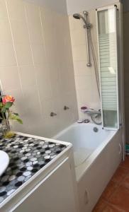 Un baño con bañera, lavabo y ducha. en Luxurious appartement Montreuil, en Montreuil