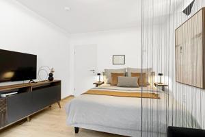 1 dormitorio con 1 cama grande y TV en VALLEY APARTMENT: LUXURY - FREE PARKING - BATHTUB, en Wuppertal