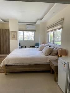 - une grande chambre avec un grand lit et une fenêtre dans l'établissement Classy Hostel, à Madaba