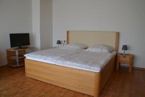 a bedroom with a bed and a tv on a wooden floor at Haus Widder Nr3 in Kopendorf