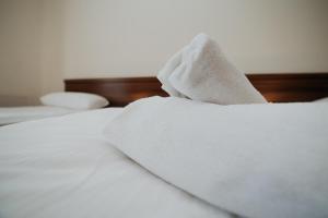 Łóżko lub łóżka w pokoju w obiekcie Noclegi - Apartamenty Żołynianka