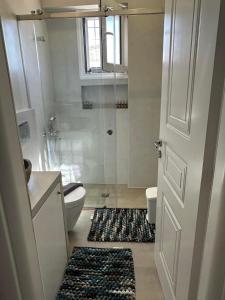 uma casa de banho com um chuveiro, um WC e um tapete em Mimozas Apartment Porto Heli em Porto Heli