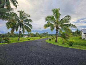 an empty road with palm trees and a house at Moutain View Villa in Pacific Harbour
