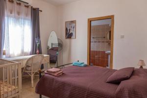 a bedroom with a bed and a walk in shower at Spiti Damianos Villa Beachfront in Pomos