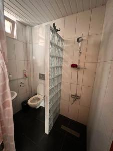 a bathroom with a toilet and a shower at FAMILY VILLA by the sea in Konaklı