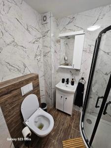 ein Bad mit einem WC und einem Waschbecken in der Unterkunft Apartman Lena in Zrenjanin
