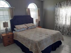 a bedroom with a blue bed and two windows at AIRBAB Moon Gate West in Mount Pleasant