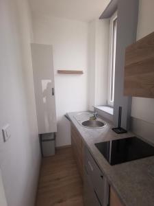 a small kitchen with a sink and a window at Studio proche centre in Pontarlier