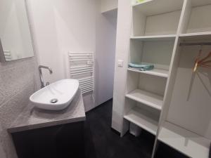 a white bathroom with a sink and shelves at Studio proche centre in Pontarlier