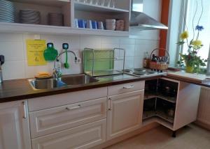 Kuchyň nebo kuchyňský kout v ubytování Hotel Tre Stockar