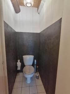 un bagno con un water in una stanza di L'auvergnate a Chambon-sur-Lac Altre 28 foto
