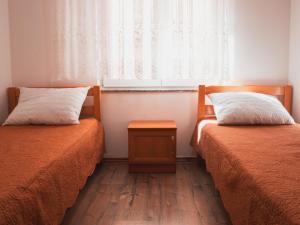 Duas camas num quarto com uma janela em Apartments Ankica em Štinjan