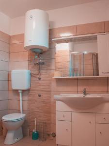 a bathroom with a toilet and a sink at Apartments Ankica in Štinjan