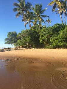 uma praia arenosa com palmeiras ao fundo em Casa Brisa da Terra. em Barra Grande