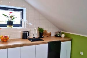 uma cozinha com um balcão com um lavatório e uma janela em Apartament Nawojowski em Nowy Sącz