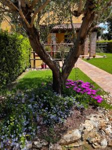 un jardín con flores púrpuras y púrpuras alrededor de un árbol en Alloggio la fattoria, en Cecina