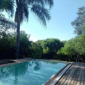 a swimming pool with a palm tree and a wooden deck at CASA QUINCHO in Jesús María