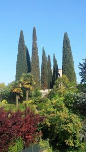 Κήπος έξω από το Casa Sol