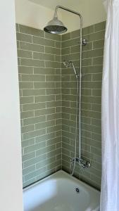 a bathroom with a tub and a shower with a shower curtain at Sebuzínka in Ústí nad Labem