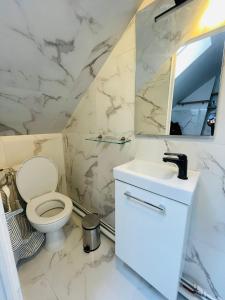 a bathroom with a toilet and a sink and a mirror at Studio Parc des Princes - Porte dauphine - 2 Pers in Boulogne-Billancourt